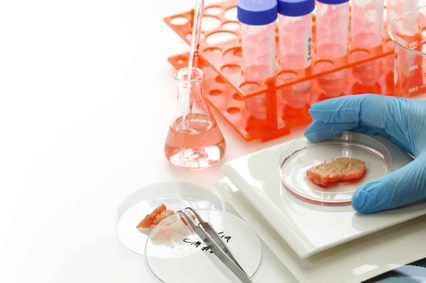 What's the Latest in Lab-Grown Meat and How Could It Impact UK Agriculture?